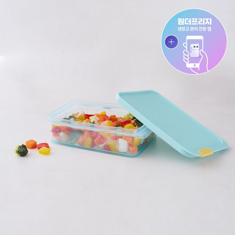 FREEZER FIT CONTAINER 1.05LTR
