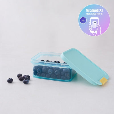 FREEZER FIT CONTAINER 450ML