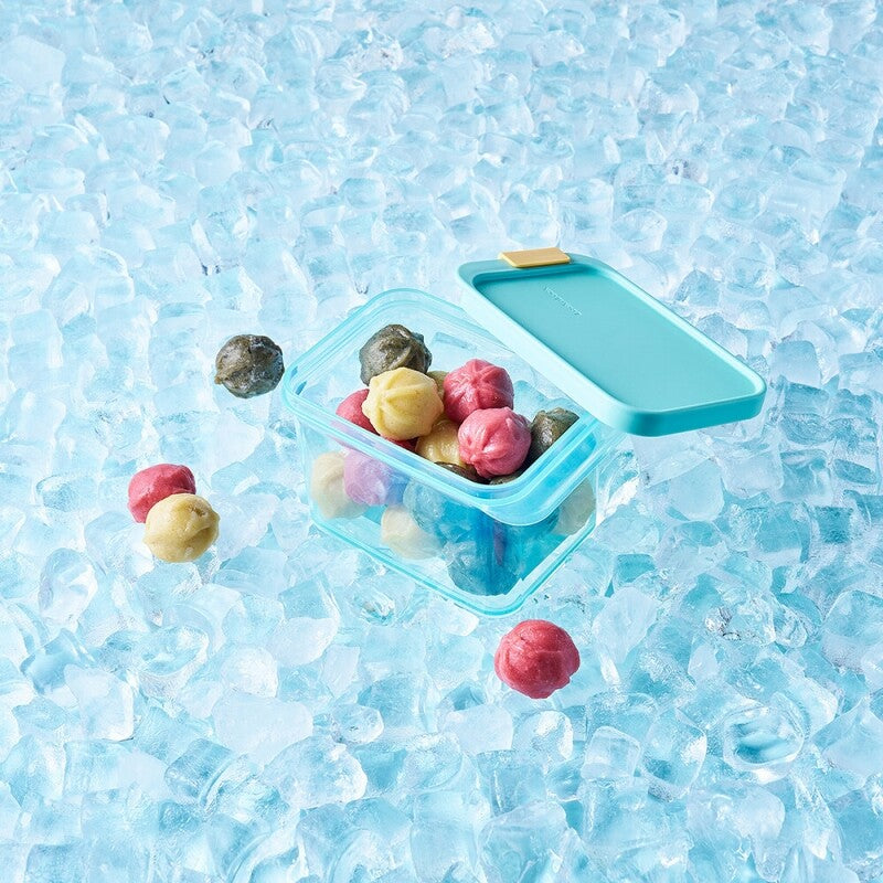 FREEZER FIT CONTAINER 750ML