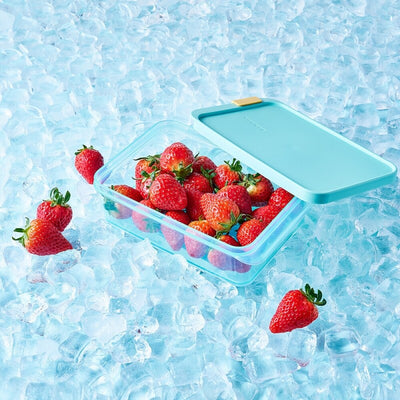 FREEZER FIT CONTAINER 1.05LTR
