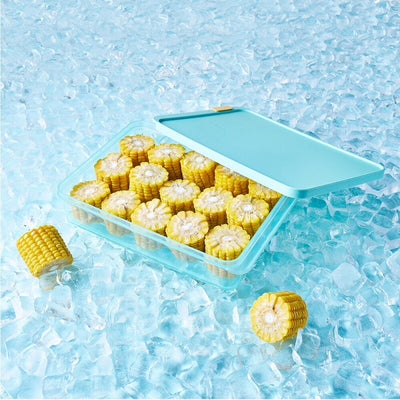 FREEZER FIT CONTAINER 2.2LTR