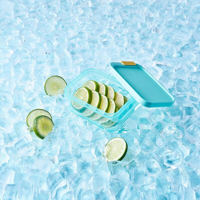 FREEZER FIT CONTAINER 450ML