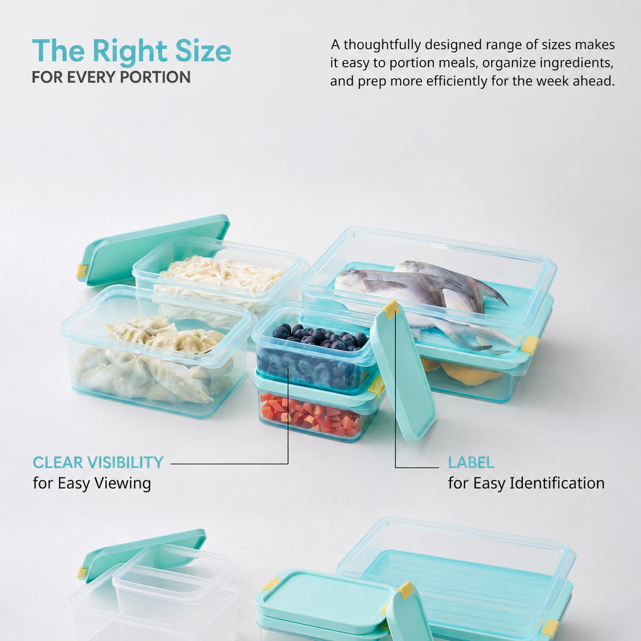 Freezer Fit 450ml – LocknLock India