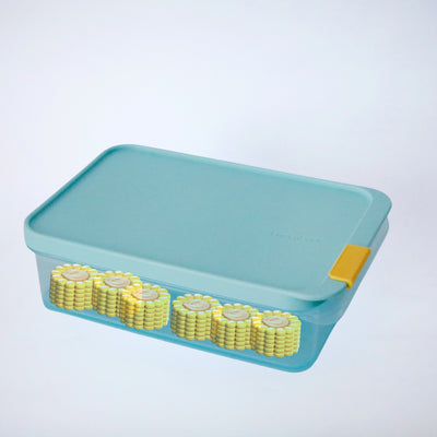 Freezer Fit 1050ml