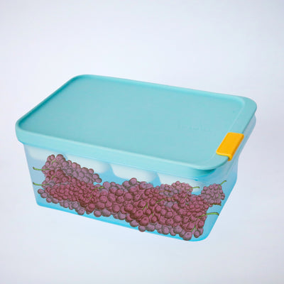 Freezer Fit 1650ml with Divider 45ml