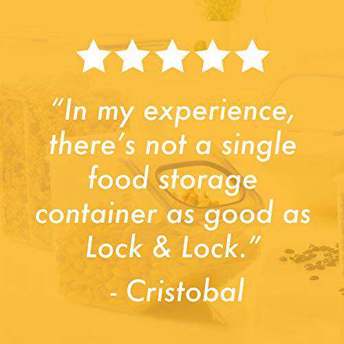 LocknLock Classic Extra-Large Flat Rectangular Food Container