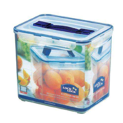 LocknLock Small Storage Container with Grab Handle and Trey, Transparent
